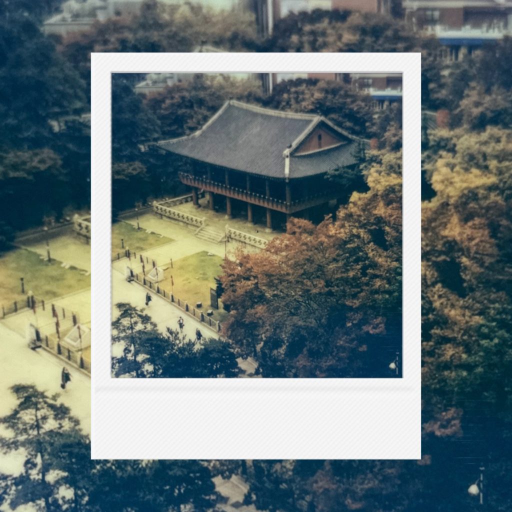 An elevated view of an autumn courtyard where softened colors settle into space allowing layered time quiet observation and subtle daily movement to coexist