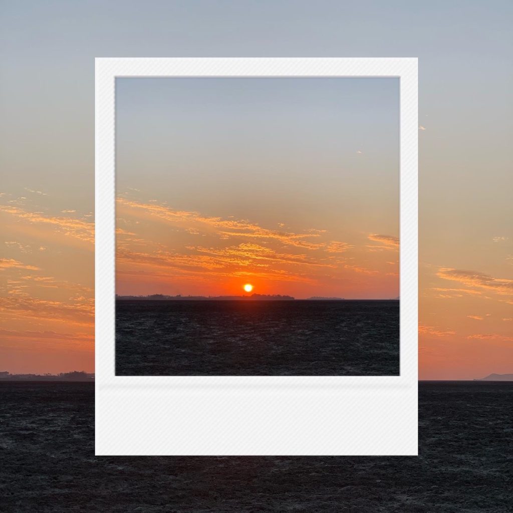 The final warmth of the sun fading over the blackened earth capturing an enchanting farewell to the day within an analog film frame