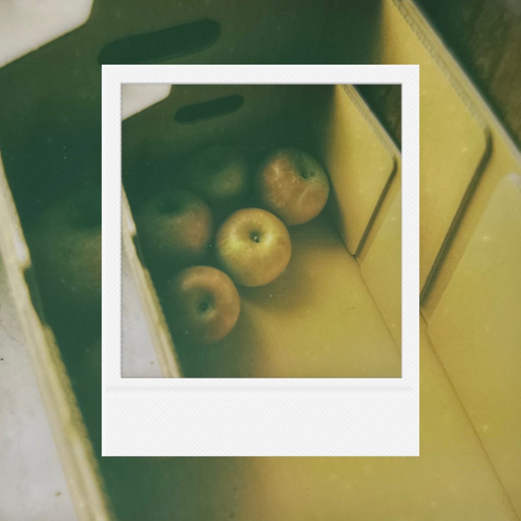 The rustic texture of apples under low light capturing a serene daily moment within warm analog film tones