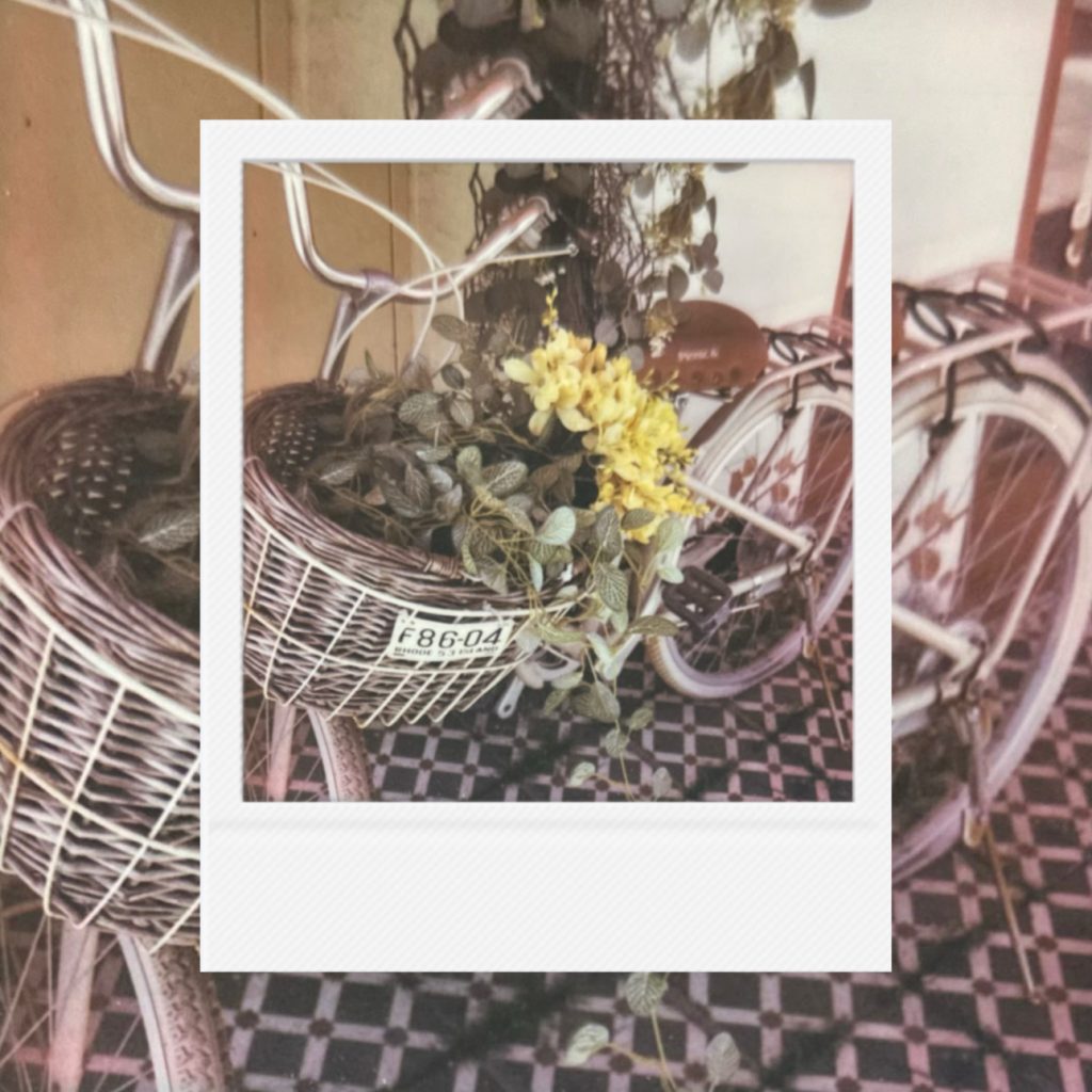 A quiet harmony of woven baskets, gentle blossoms, and timeworn bicycles preserving the warmth of an ordinary moment and the lingering charm of a peaceful street.